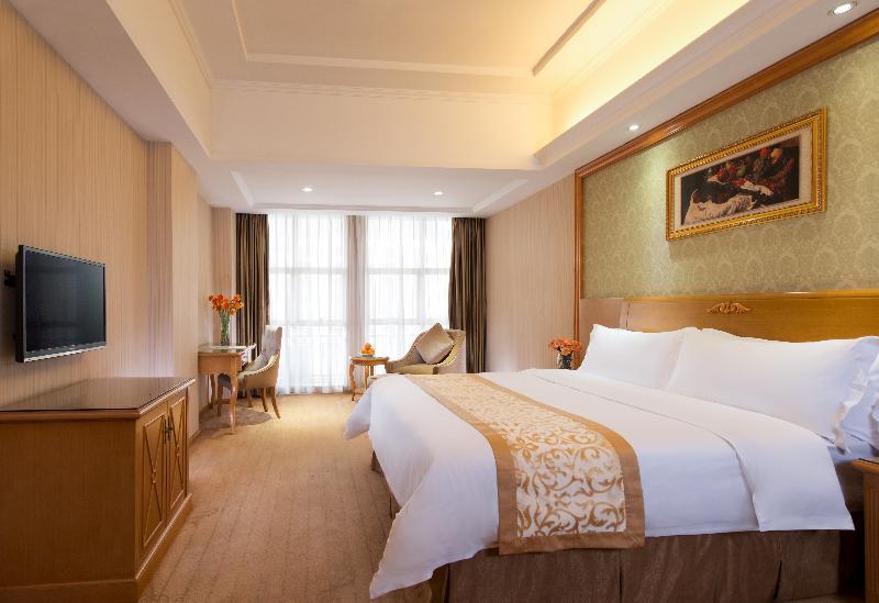 Vienna Hotel Kanton Exteriér fotografie
